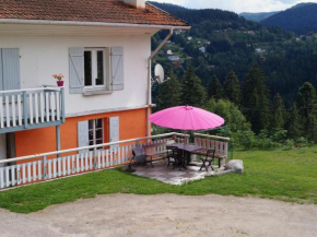Gîte paisible avec garage, terrasse et Wifi près du lac de Gérardmer - FR-1-589-159